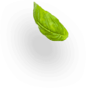 yaprak şekli